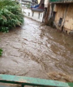 Alveo comune nocerino nei pressi del ponte di via Astuti (giù al Borgo)