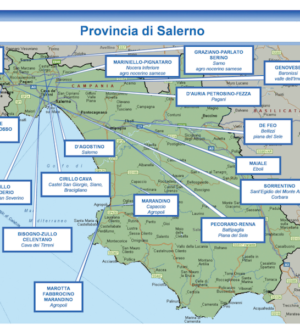 Salerno Le Nuove Leve Legate A Peppe D Agostino La Mappa Dei Clan Operativi Su Tutto Il Territorio Di Salerno Contenuta Nella Relazione Della Dia Cronache Salerno