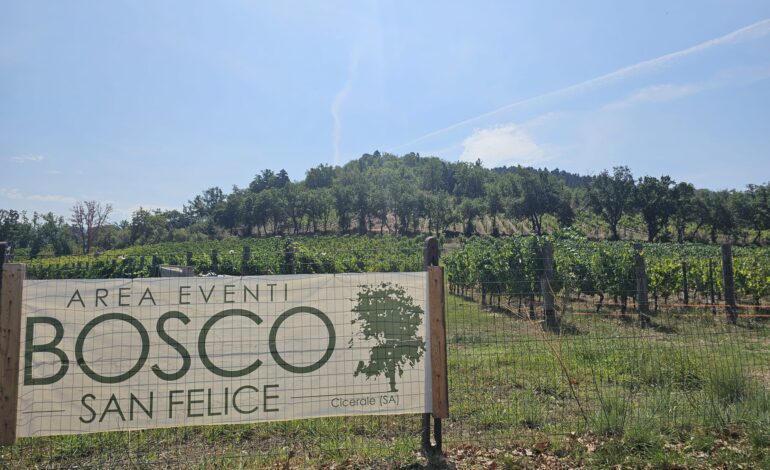  Bosco San Felice: ecco la “Festa del Vino”