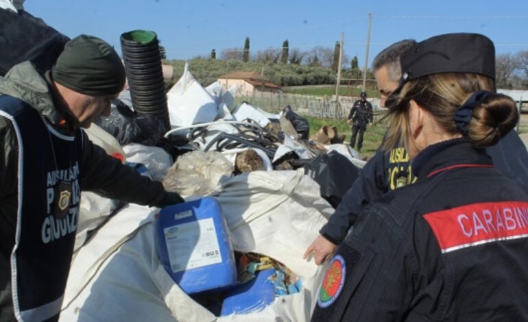 Eboli, azienda bufalina sotto sequestro