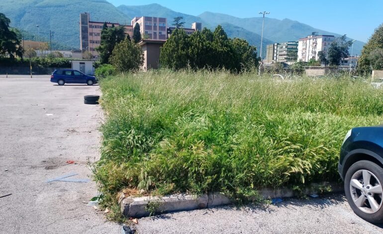 Pagani, Mercato ortofrutticolo nel pieno degrado