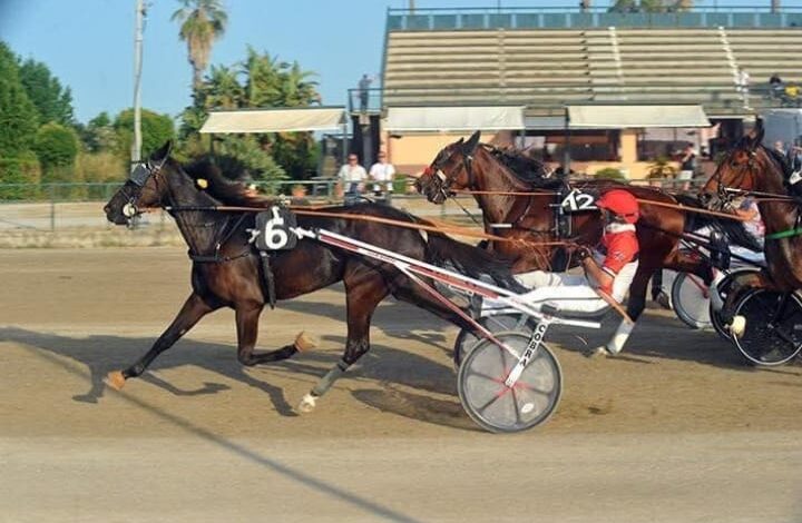 Corse al trotto all’ippodromo Valentinia di Pontecagnano: ore 18.45