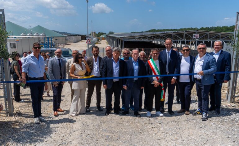 Impianto Bioenergy Albanella, opere abusive