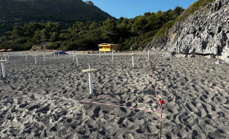 Camerota, dopo il tritolo le ruspe  sulla pineta