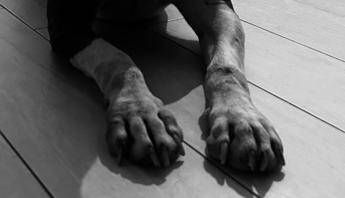 Messina, cane trovato morto in una valigia