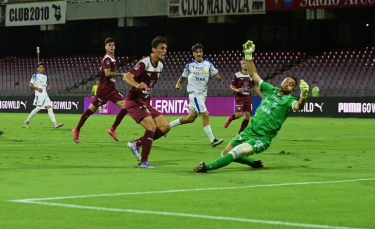 Salernitana-Potenza: le formazioni
