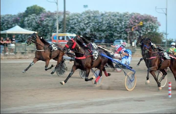 Ippodromo Valentinia, le corse di oggi