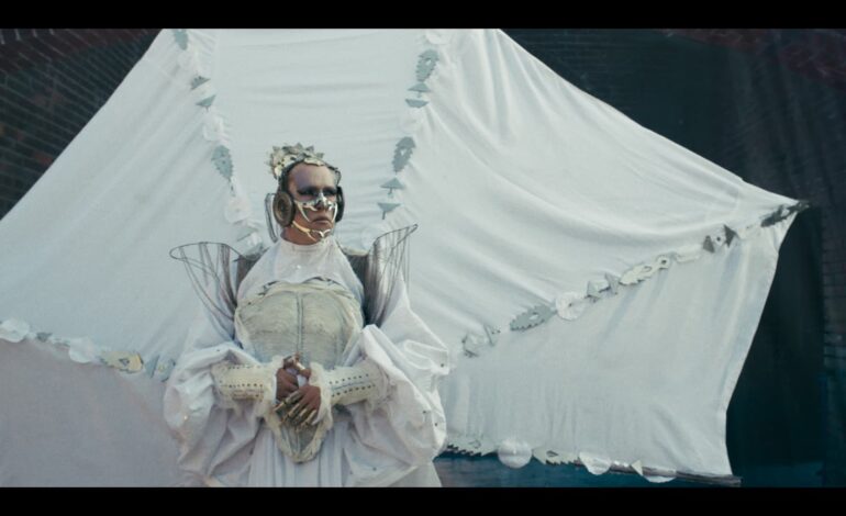 Controtenore salernitano Pasquale Auricchio e il Pavone bianco