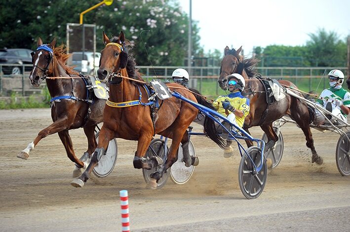 Domani grande ippica e “Festa della Vendemmia” all’Ippodromo Valentinia