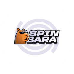  Programmi fedeltà nei casinò e vantaggi per giocatori e operatori: Opinione degli esperti Spinbara