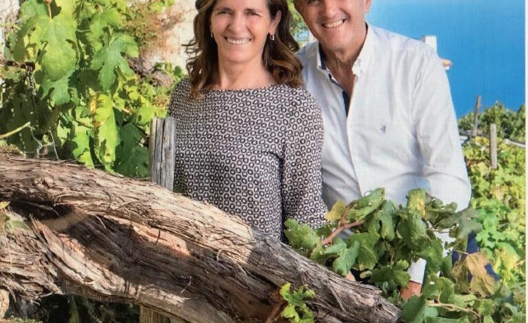 Ferraioli: Mondo del vino in crisi