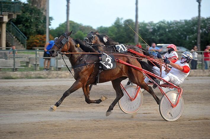 Gran Finale all’Ippodromo Valentinia