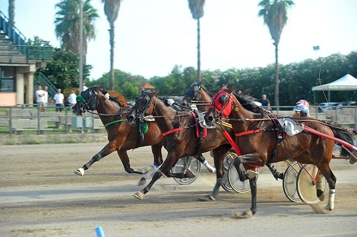 Ippodromo Valentina, oggi il gran finale