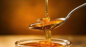  Non solo dolcezza: nel miele di acacia i microRna che ‘parlano’ al sistema immunitario