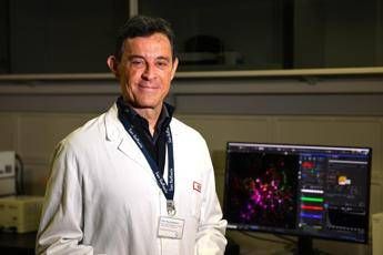  Ora solare, neurologo Barbanti: “Lunedì dopo cambio meno infarti, sonno cura più potente”