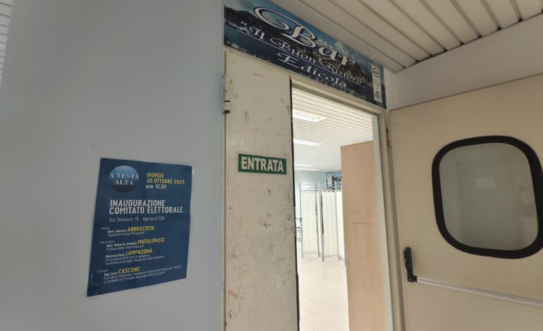  Ospedale di Agropoli: spuntano manifesti di Rosa Lampasona