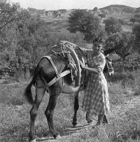 Nel pensiero visionario di Gaetano Bonvicini