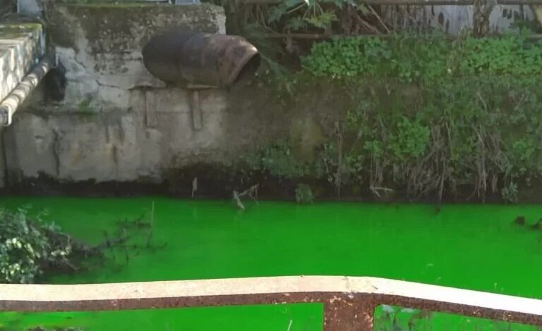 Il Sarno diventa verde, disastro ambientale