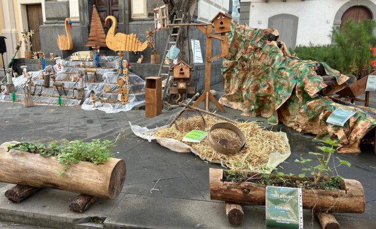 Siano, la festa dell’albero