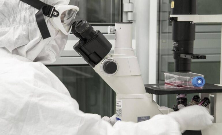  La scoperta per ricaricare le cellule e combattere l’invecchiamento