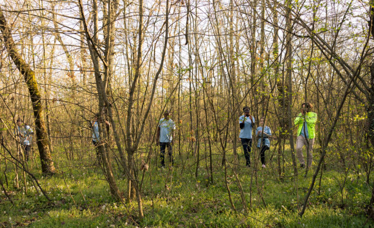 Piccoli esploratori crescono: missione parchi divertimento