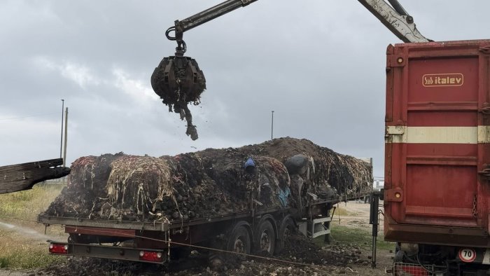  Pontecagnano Faiano, rimossi i rifiuti abbandonati sul tir