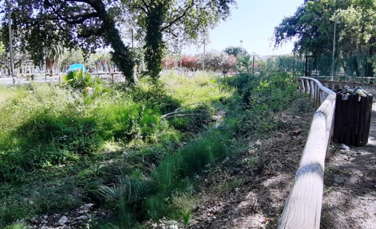 Il parco del Mercatello nel degrado: la denuncia