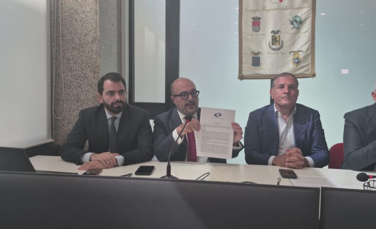 Sangiuliano propone, via calamite e kebab dai centri storici.
