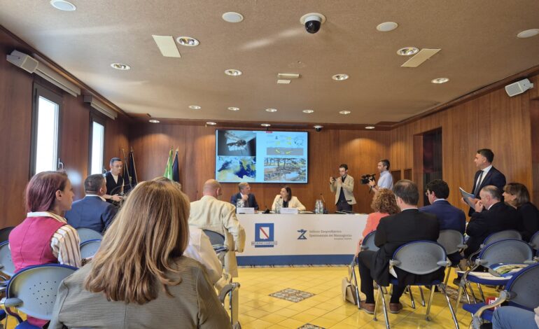 Virus Shamonda, vertice IZSM e Regione
